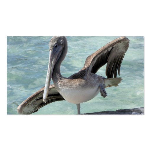 Pelican Business Cards (back side)