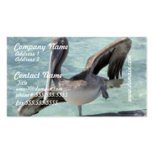 Pelican Business Cards