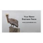Pelican Business Cards