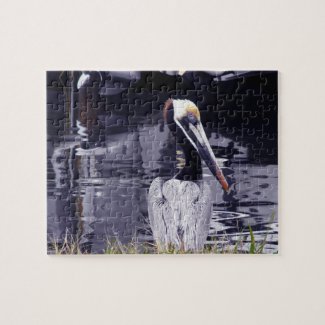 Pelican by the Water Puzzles