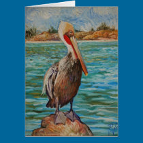 Pelican cards