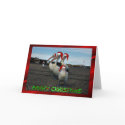 PELICAN CHRISTMAS cards by GOLDENJACKAL PELICAN CHRISTMAS cards