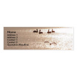Pelican Dawn Profile Card Business Card