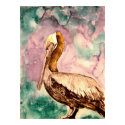 pelican fine art print poster by dereklovessheila pelican fine art print poster