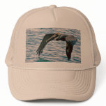 Pelican Flies Hat