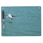 Pelican Flight Dry Erase Whiteboards