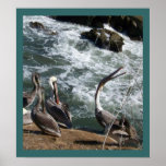 Pelican Headthrow Print