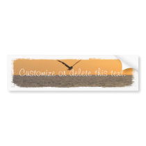 Pelican in Flight; Customizable Bumper Stickers