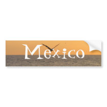 Pelican in Flight; Mexico Souvenir Bumper Sticker