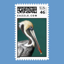 Pelican in profile - Postage Stamp