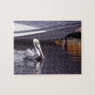 Pelican in the Water Puzzles