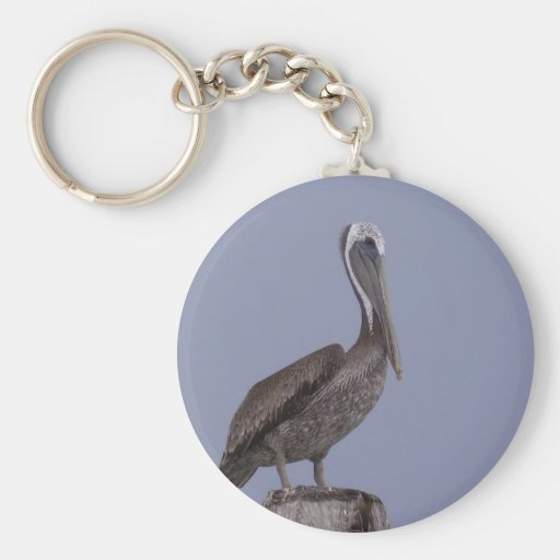 Pelican Key Chain