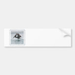Pelican Landing Bumper Stickers