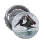 Pelican Landing Button