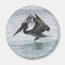 Pelican Landing Magnet
