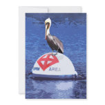 Pelican Lifeguard Invite