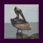 Pelican Magnet