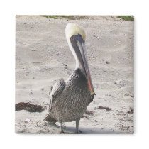 Pelican Magnet