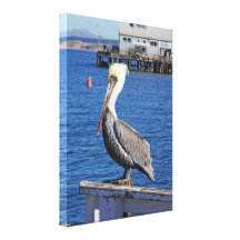 Pelican Monterey, California-Wrapped Canvas Print