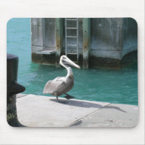 Pelican mousepads by jimmler Pelican mousepads
