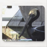 Pelican Mousepad