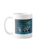 Pelican
