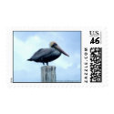 Pelican on a Piling Stamp