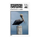 Pelican on a Piling Stamp