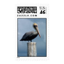 Pelican on a Piling Stamp