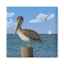 Pelican on a Post Magnet by GrandmaDee Pelican on a Post Magnet
