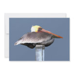 Pelican on a Stick Invites