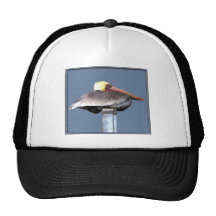 Pelican on a Stick Mesh Hats