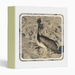 Pelican on Beach Binder