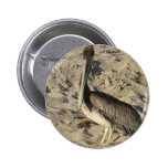 Pelican on Beach  Button