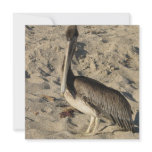 Pelican on Beach Invitations