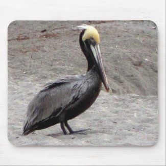 Pelican on Beach mousepad