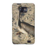 Pelican on Beach Samsung Galaxy Case