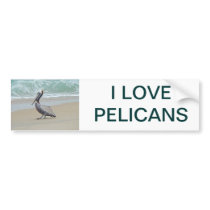 Pelican on Outer Banks OBX NC Bumper Stickers