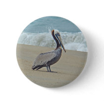 Pelican on Outer Banks OBX NC Button