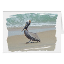 Pelican on Outer Banks OBX NC Card