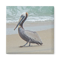 Pelican on Outer Banks OBX NC Refrigerator Magnets