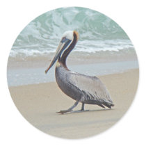 Pelican on Outer Banks OBX NC Stickers