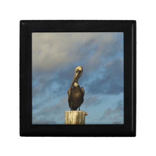 Pelican on Pier giftbox