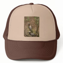 Pelican Pair - hat by Horseshoes3 Pelican Pair - hat