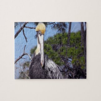 Pelican Perched Jigsaw Puzzle