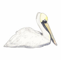 Pelican Photo Sculpture photo sculptures