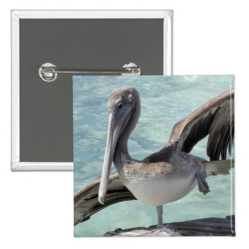 Pelican  Pin