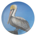 Pelican plate