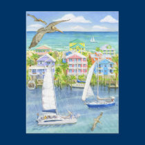 Pelican Point of View postcards