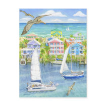 Pelican Point of View Postcard